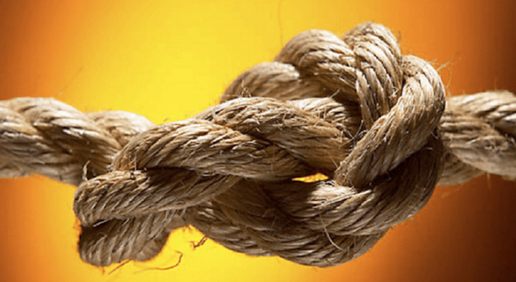 Kin Ties Child Education 2008 (34-36): Social Education 15: Maintaining Kin Ties-2